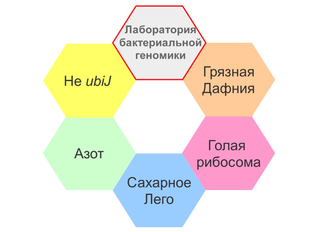 Азот Не ubiJ Грязная Дафния Сахарное Лего Голая рибосома Лаборатория бактериальной геномики